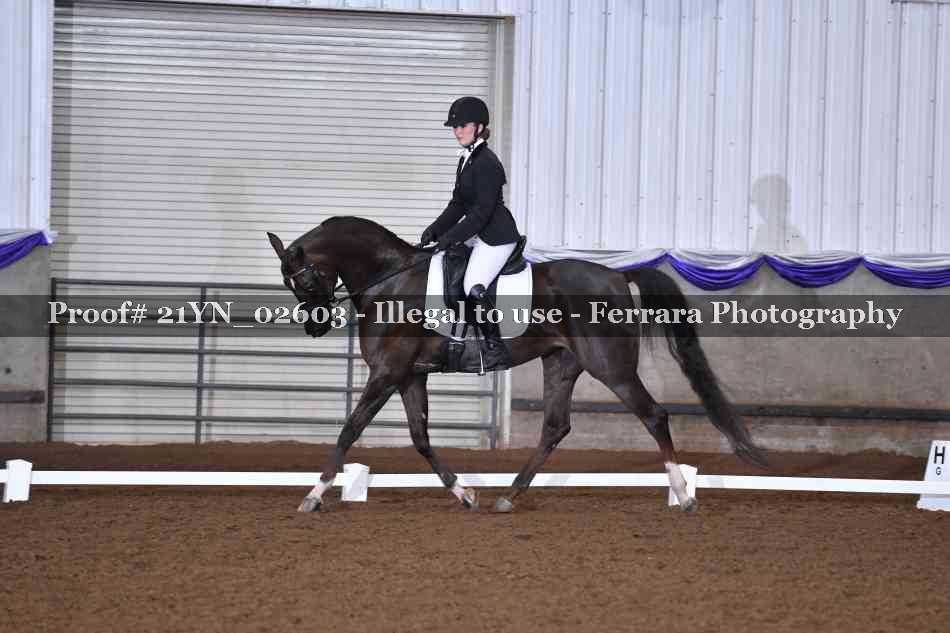 Proof Number 21YN_02603