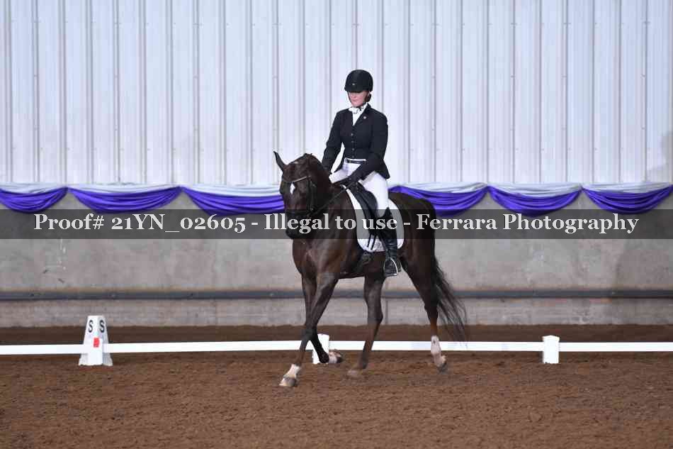 Proof Number 21YN_02605
