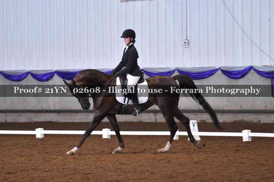 Proof Number 21YN_02608