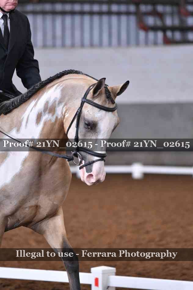 Proof Number 21YN_02615
