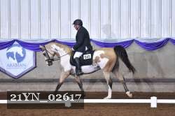 21YN_02617 thumbnail