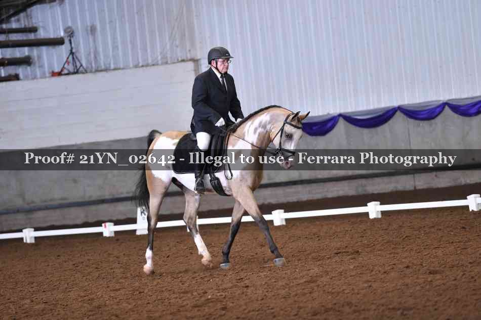 Proof Number 21YN_02642