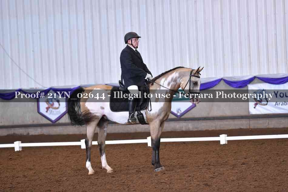 Proof Number 21YN_02644