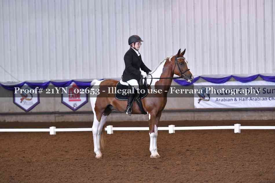 Proof Number 21YN_02653