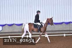 21YN_02654 thumbnail