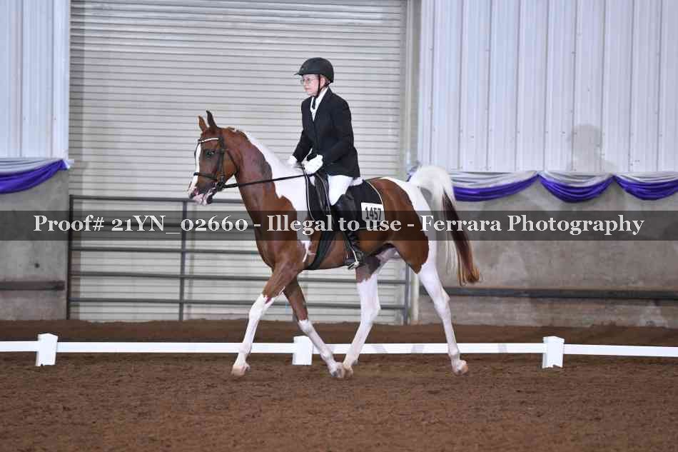 Proof Number 21YN_02660