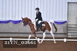 21YN_02661 thumbnail