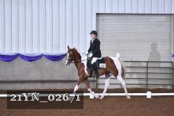 21YN_02671 thumbnail