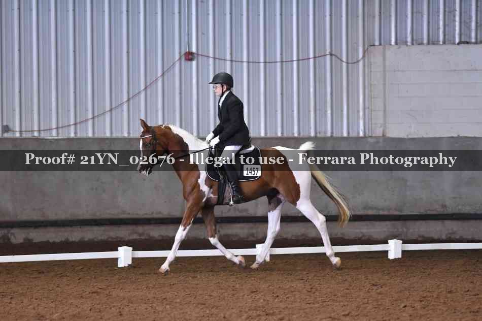 Proof Number 21YN_02676