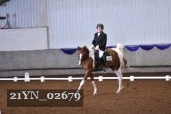 21YN_02679 thumbnail