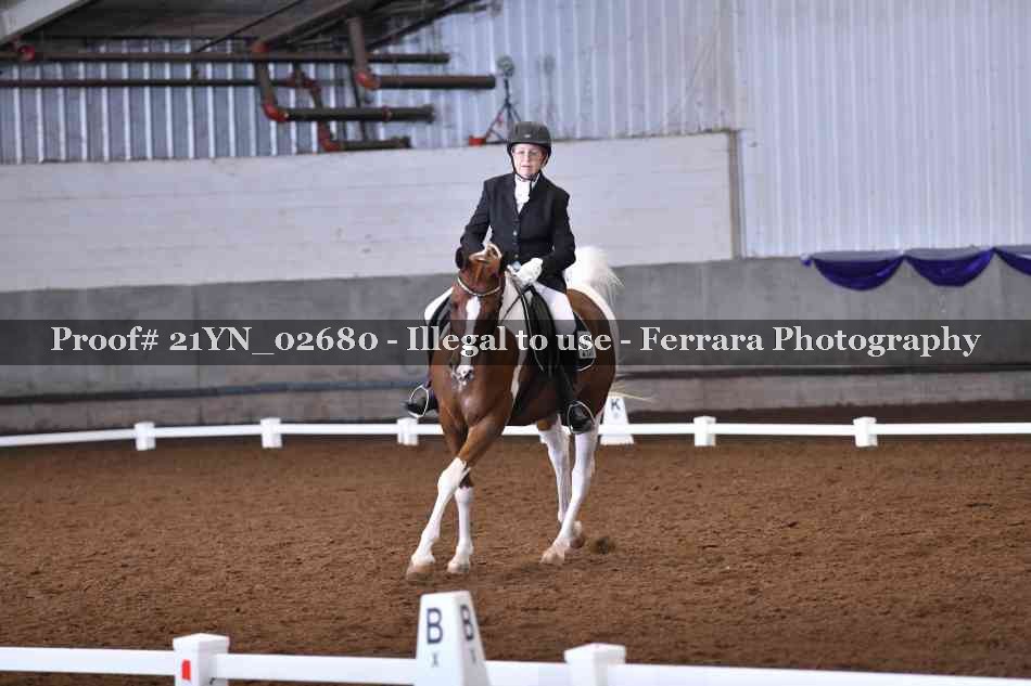 Proof Number 21YN_02680