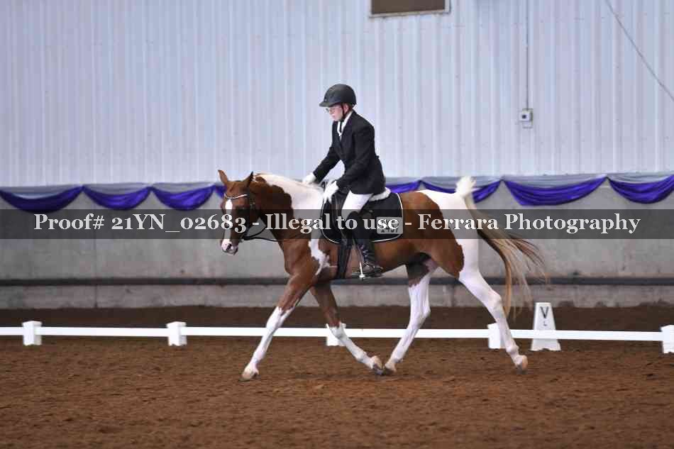 Proof Number 21YN_02683