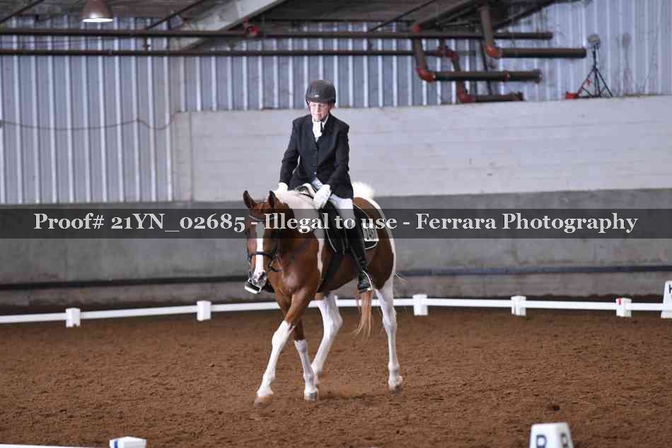 Proof Number 21YN_02685