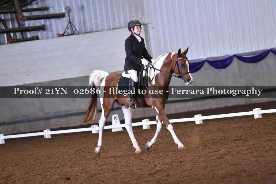 Proof Number 21YN_02686