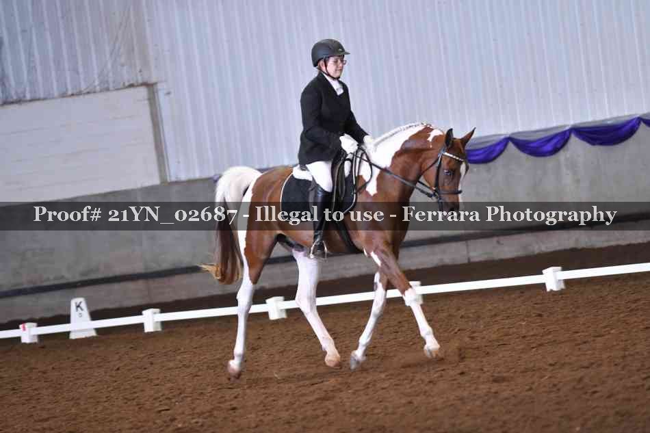 Proof Number 21YN_02687