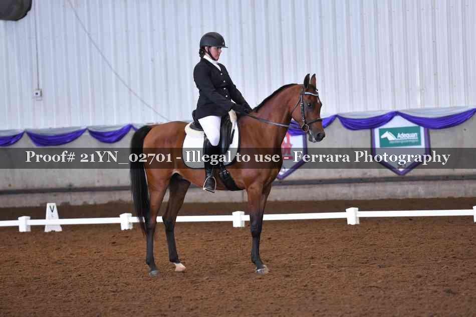 Proof Number 21YN_02701