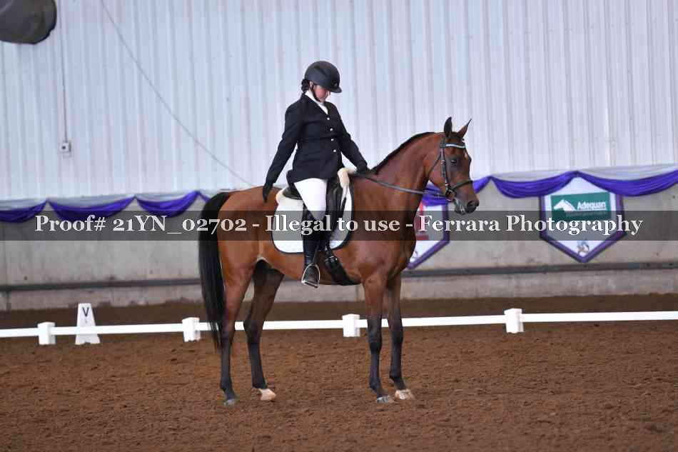 Proof Number 21YN_02702