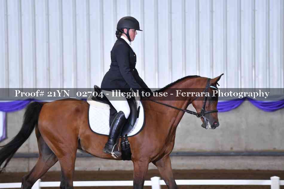 Proof Number 21YN_02704