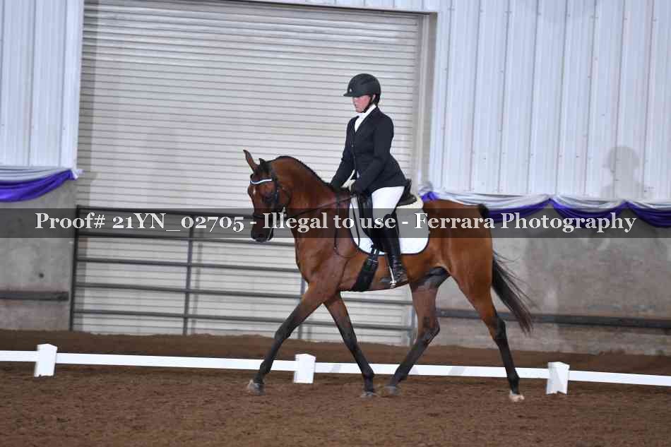 Proof Number 21YN_02705
