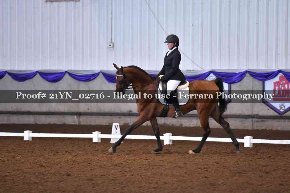 Proof Number 21YN_02716
