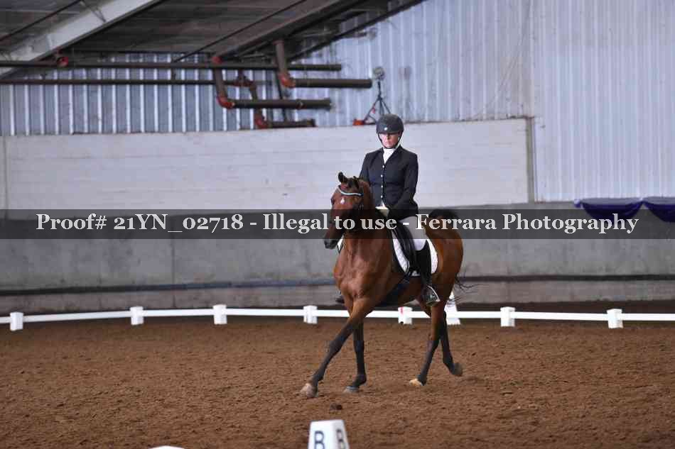 Proof Number 21YN_02718