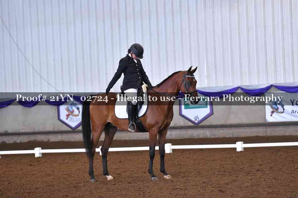 Proof Number 21YN_02724
