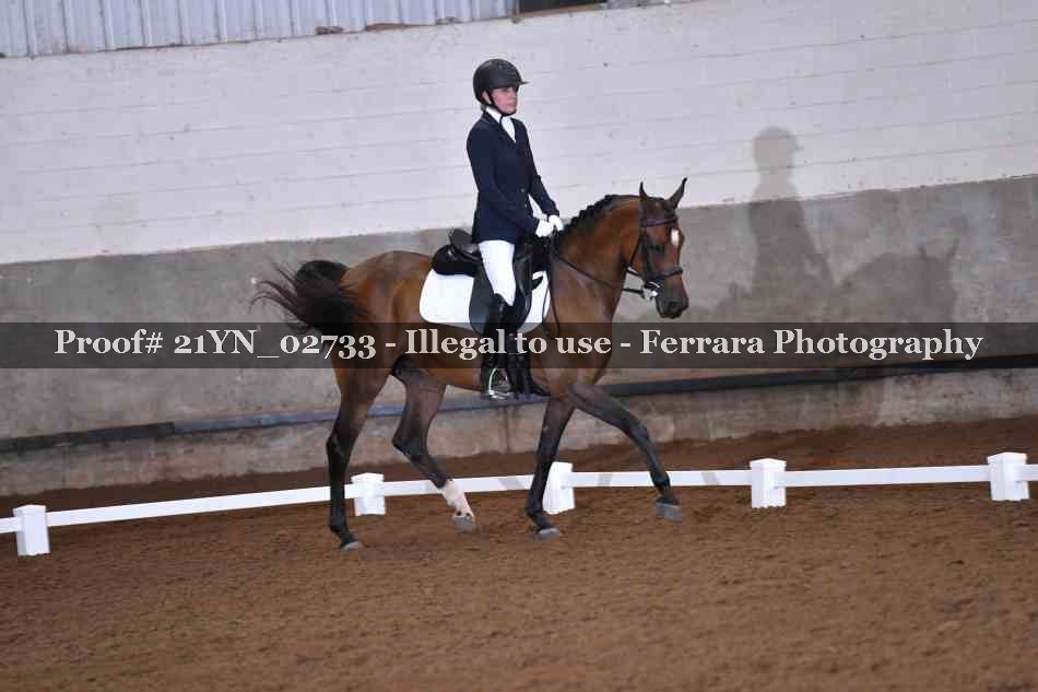 Proof Number 21YN_02733