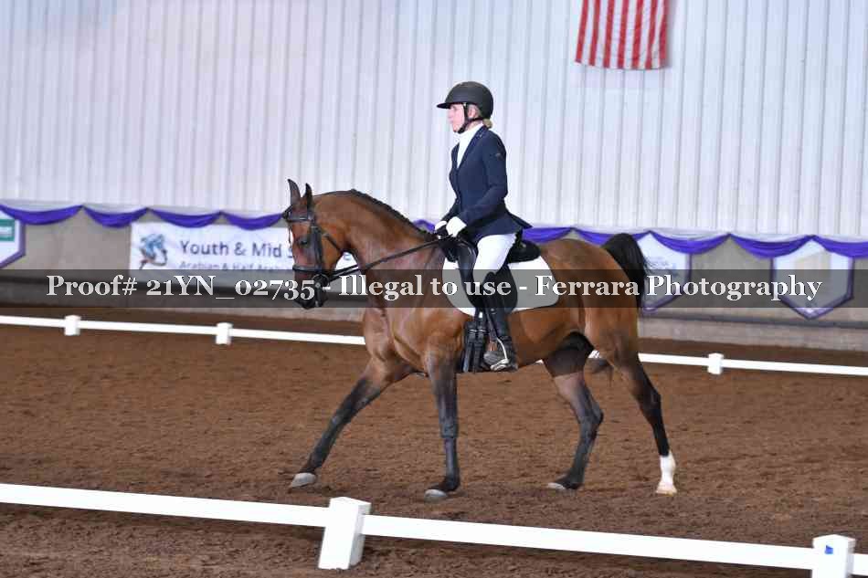 Proof Number 21YN_02735