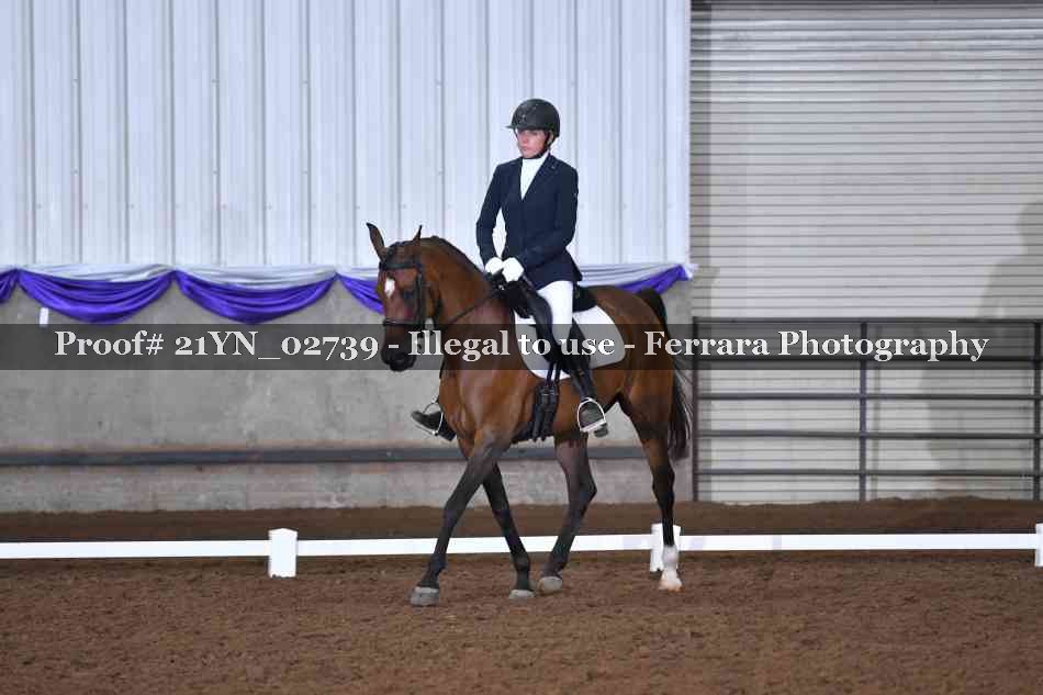 Proof Number 21YN_02739