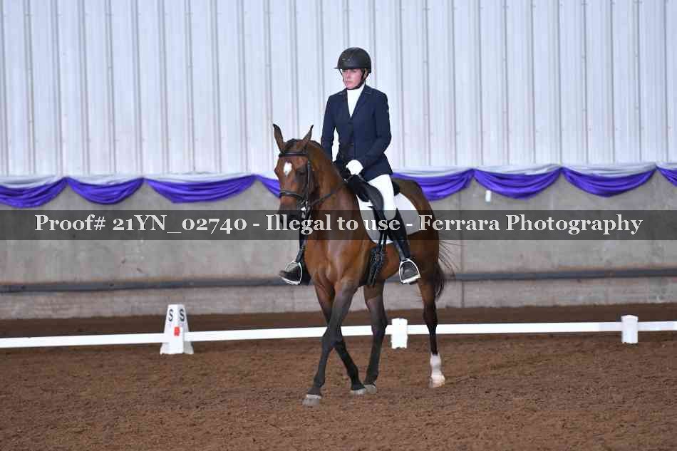 Proof Number 21YN_02740