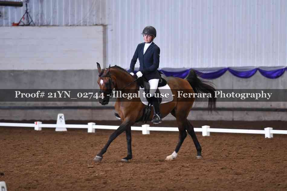 Proof Number 21YN_02744