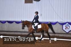 21YN_02748 thumbnail