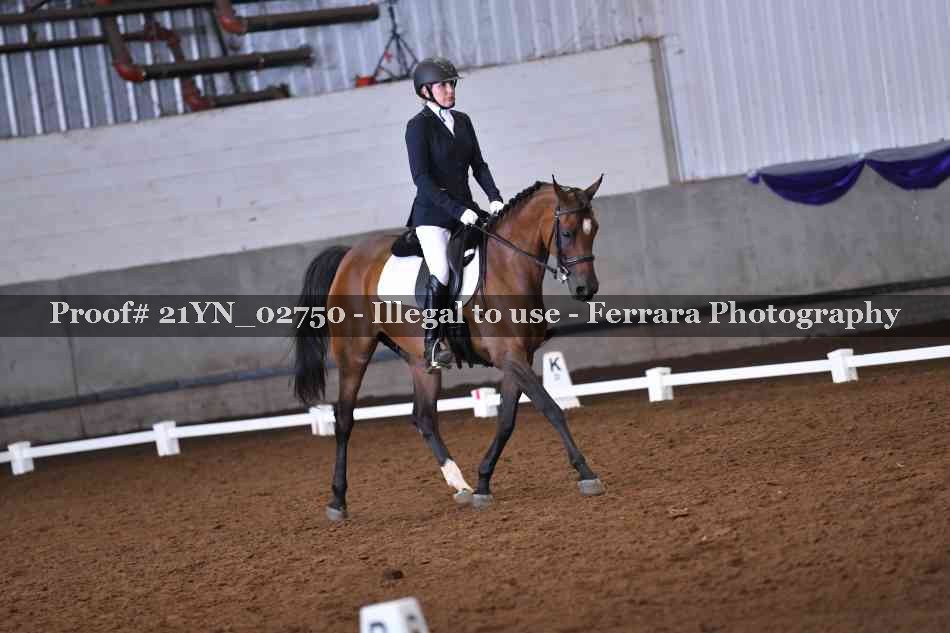 Proof Number 21YN_02750