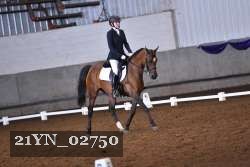 21YN_02750 thumbnail