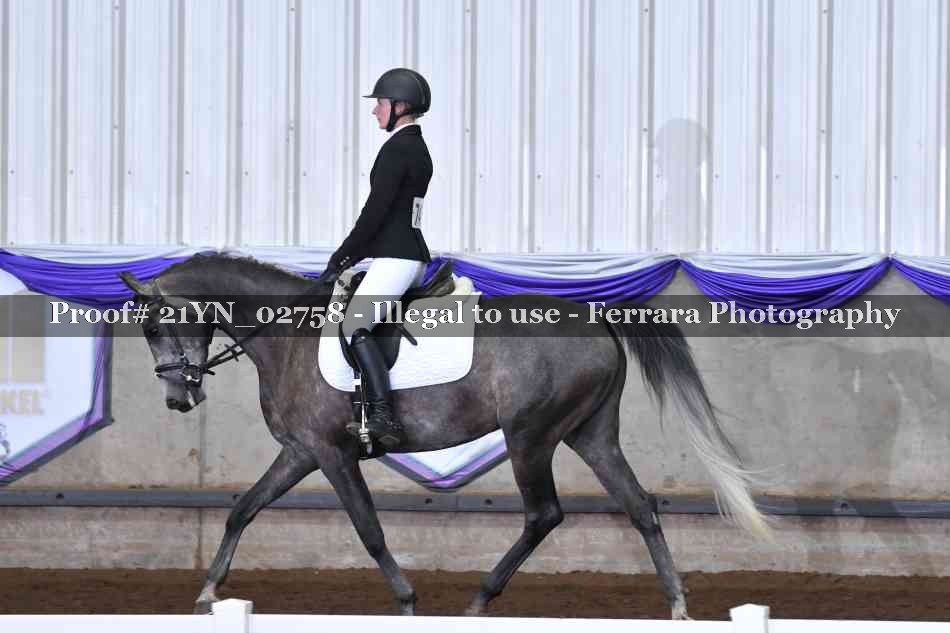 Proof Number 21YN_02758