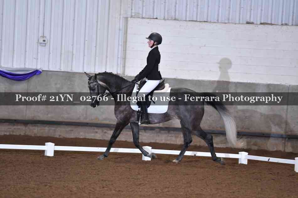 Proof Number 21YN_02766