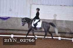 21YN_02766 thumbnail