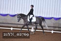 21YN_02769 thumbnail