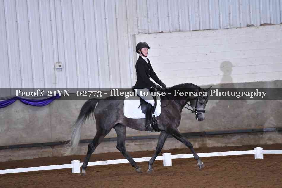 Proof Number 21YN_02773