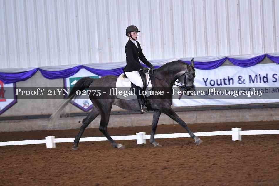 Proof Number 21YN_02775