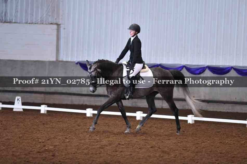 Proof Number 21YN_02785