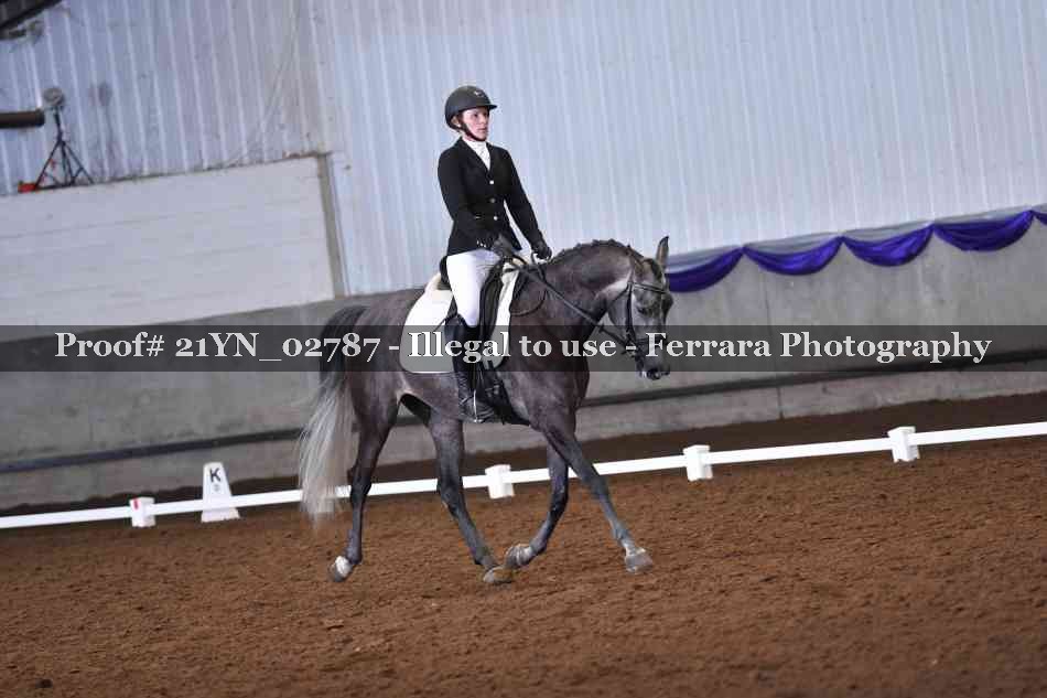Proof Number 21YN_02787