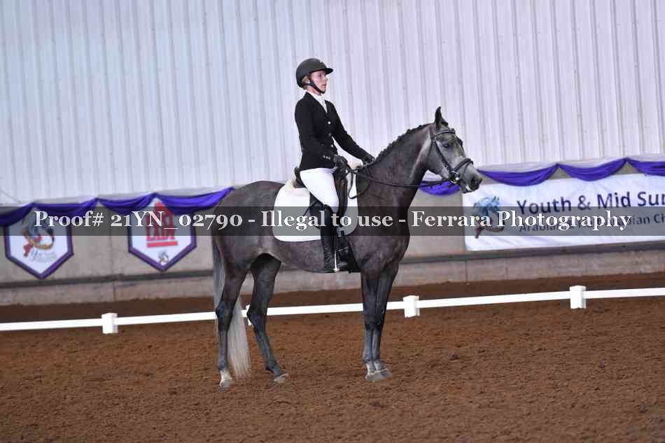 Proof Number 21YN_02790