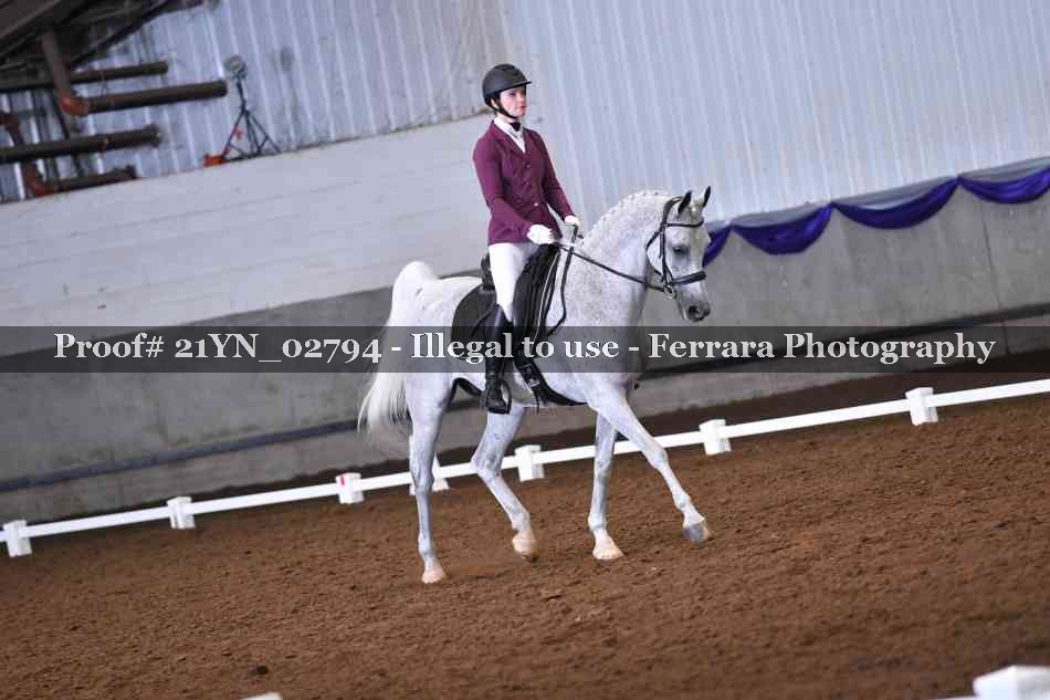 Proof Number 21YN_02794