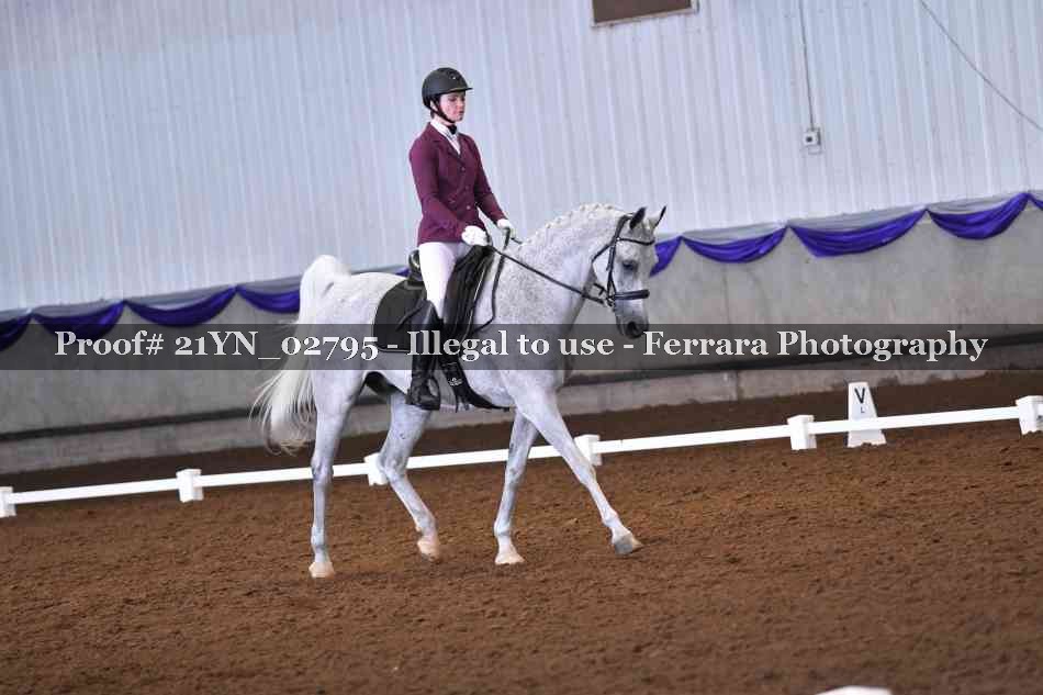 Proof Number 21YN_02795