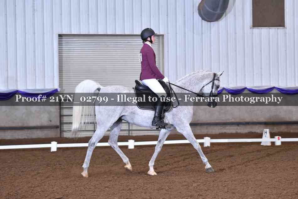 Proof Number 21YN_02799
