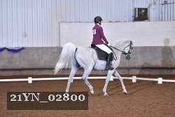 21YN_02800 thumbnail