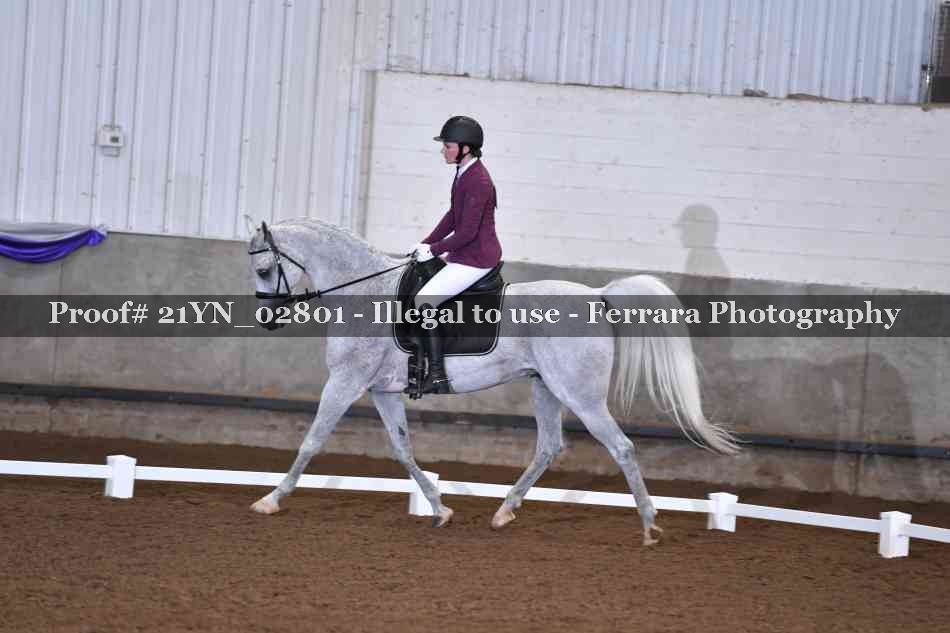 Proof Number 21YN_02801