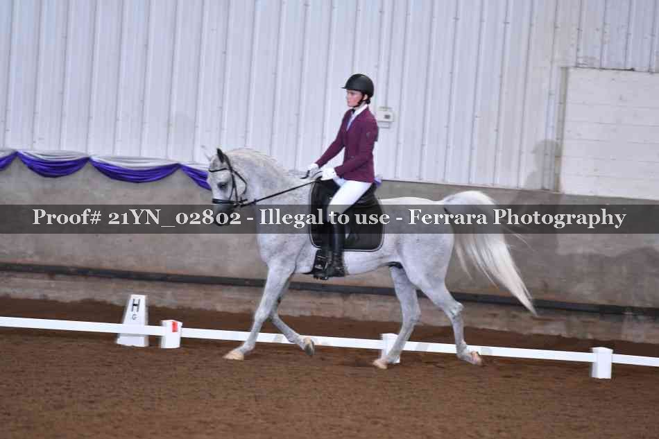 Proof Number 21YN_02802