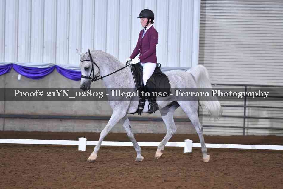 Proof Number 21YN_02803